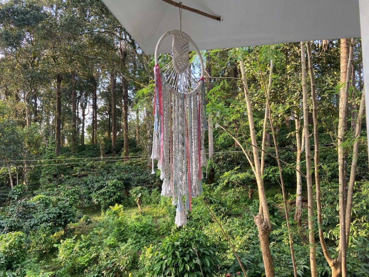 Ammus Homestay Thekkady Zewnętrze zdjęcie