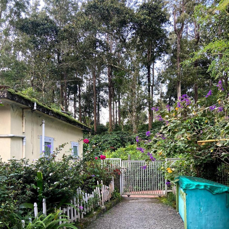Ammus Homestay Thekkady Zewnętrze zdjęcie